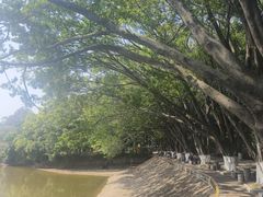 -东莞市虎英郊野公园