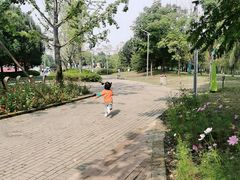 -武汉园博园(武汉自然博物馆)