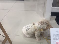 -思琪宠物医院(昆山花桥店)