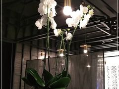 -LANN I 蘭 泰式古法按摩(徐家汇城开YOYO店)