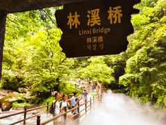 -西岭雪山大飞水景区