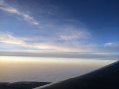 -全日本空输株式会社(上海办事处)