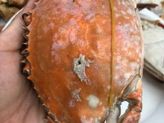 -常家活海鲜小吃(仅一家无分店)