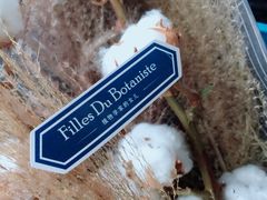 -植物学家的女儿(北马道巷店)