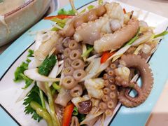 温拌巴蛸-北方饺子王·海肠捞饭·海鲜锅(山大店)