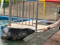 -北戴河圣蓝海洋公园