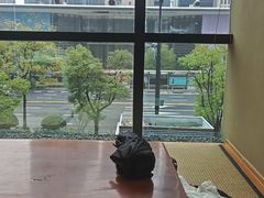 -月龍吟(朝龙汇店)
