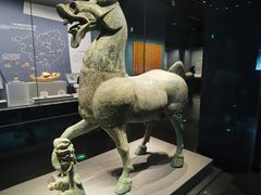 -广西壮族自治区博物馆