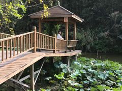 -梅岭月亮湾山体公园