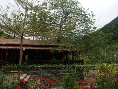 -海南热带雨林国家公园吊罗山景区