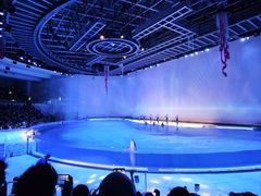-上海海昌海洋公园