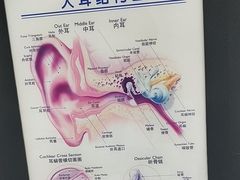 -海之声助听器 瑞士峰力直营中心(华麟大厦店)