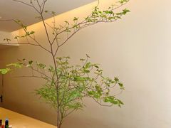 -Onirii Coffee(长乐路店)