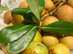 -季季山·云南野生菌火锅(上海首店)