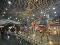 -国家自然博物馆