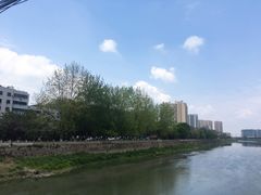 -平安桥张氏肥肠粉