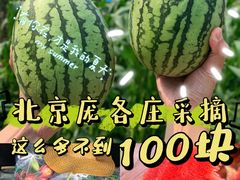 -庞各庄西瓜蔬菜采摘园·锦华瓜园
