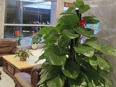 -聚彩居三和酒楼•老字号粤菜(南城店)