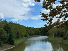 -上海海湾国家森林公园