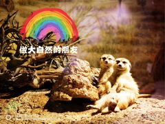 -正佳雨林生态植物园