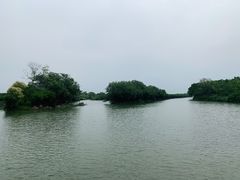 -大湾区中央湿地公园