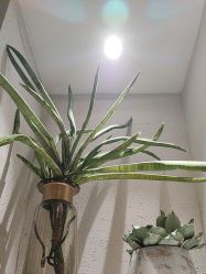 -香秀空间科技抗衰·美容中心