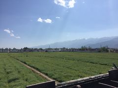 -喜林苑·稻田餐厅(品相府店)