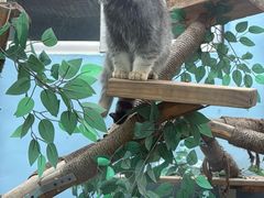 -青藏高原野生动物园