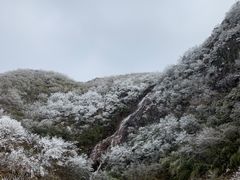 -东白山