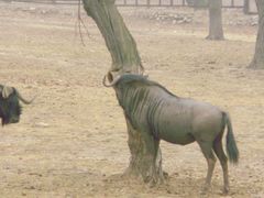 景点-西安秦岭野生动物园