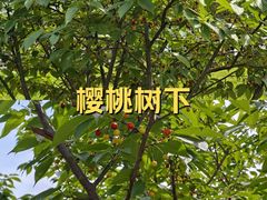 -艾溪湖湿地公园