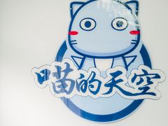 -喵的天空名猫咖啡馆·撸猫·猫舍·用品