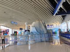 -长沙湘江冰雪世界