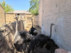 -丁村民俗博物馆