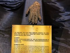 -信不信由你博物馆