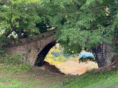 -广州市流溪河国家森林公园