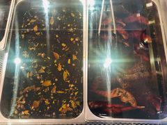 -鸿运兔·手撕烤兔(天府广场店)