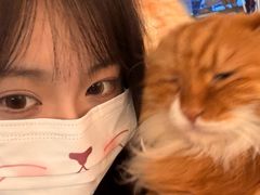 -平行世界·猫咖(首经贸店)