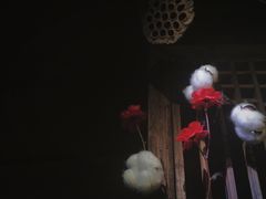 -安家村酒馆