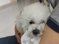 -谐和贝康宠物医院24小时·宠保定点(急重症转诊中心)