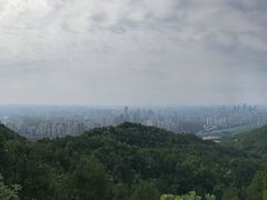 -南山老地方泉水鸡(南山店)