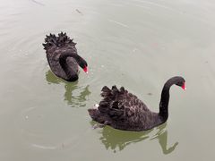 -江南大学(蠡湖校区)