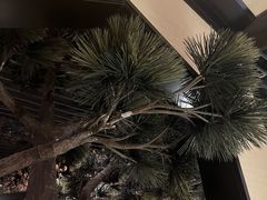-桂满陇·锦绣江南(益田广场店)