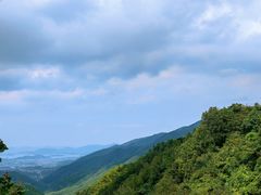 -四明山国家森林公园