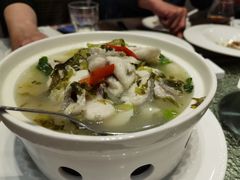 酸汤鱼片-庄氏祥记家常食府(国瑞建材家居博览中心店)