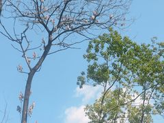 -四川大学(望江校区)