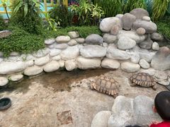 -南宫五洲植物乐园