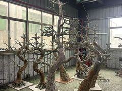 -西北轻工批发市场
