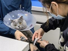 -达爱动物医院·犬猫分区·CT·复杂眼科(远洋山水分院)