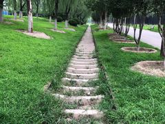 -永定河休闲森林公园